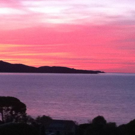 Residence Costa D'Oru แซ็งต์-โฟลร็องต์ ภายนอก รูปภาพ